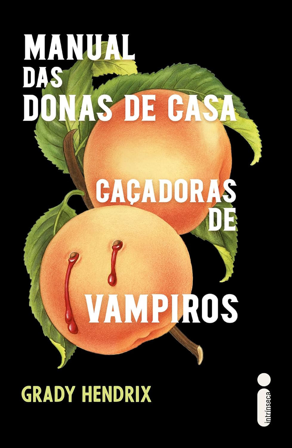 Grady Hendrix: Manual das donas de casa caçadoras de vampiro (Paperback, Português language, Intrínseca)
