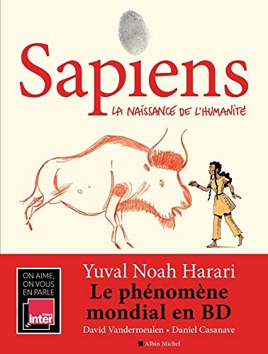 Yuval Noah Harari, David Vandermeulen, Daniel Casanave: Sapiens - tome 1 (Hardcover, French language, Albin Michel)